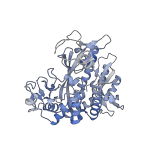 25866_7tf9_B_v1-1
L. monocytogenes GS(14)-Q-GlnR peptide