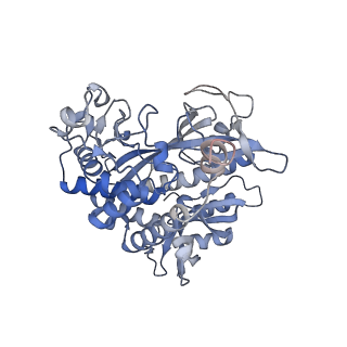 25866_7tf9_C_v1-1
L. monocytogenes GS(14)-Q-GlnR peptide