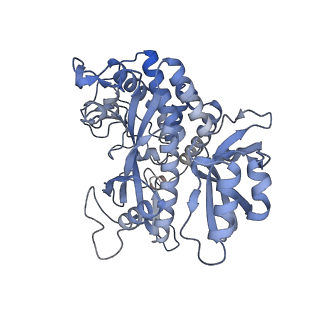 25866_7tf9_F_v1-1
L. monocytogenes GS(14)-Q-GlnR peptide