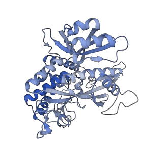 25866_7tf9_H_v1-1
L. monocytogenes GS(14)-Q-GlnR peptide