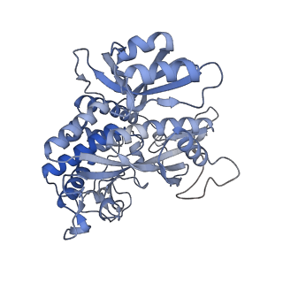 25866_7tf9_H_v1-2
L. monocytogenes GS(14)-Q-GlnR peptide