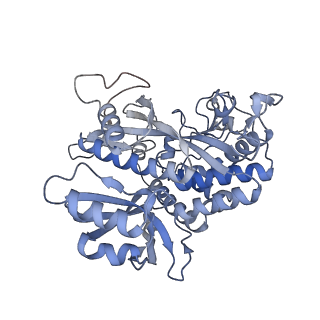 25866_7tf9_I_v1-1
L. monocytogenes GS(14)-Q-GlnR peptide