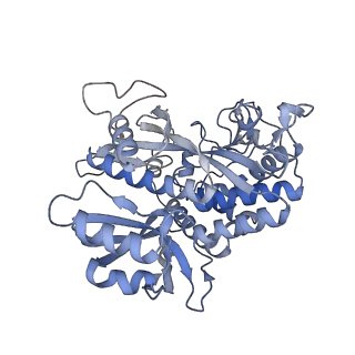 25866_7tf9_I_v1-2
L. monocytogenes GS(14)-Q-GlnR peptide