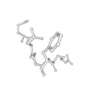 25866_7tf9_J_v1-1
L. monocytogenes GS(14)-Q-GlnR peptide