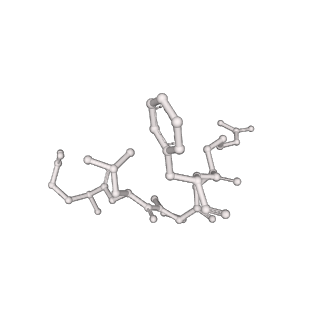 25866_7tf9_K_v1-1
L. monocytogenes GS(14)-Q-GlnR peptide