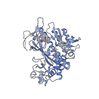 25866_7tf9_P_v1-1
L. monocytogenes GS(14)-Q-GlnR peptide