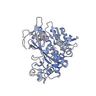 25866_7tf9_P_v1-2
L. monocytogenes GS(14)-Q-GlnR peptide