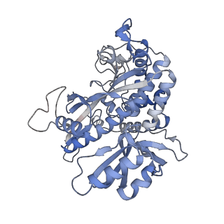 25866_7tf9_R_v1-1
L. monocytogenes GS(14)-Q-GlnR peptide
