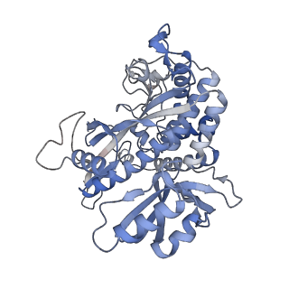 25866_7tf9_R_v1-2
L. monocytogenes GS(14)-Q-GlnR peptide