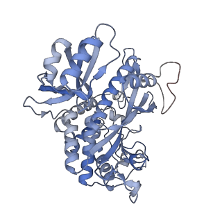 25866_7tf9_S_v1-1
L. monocytogenes GS(14)-Q-GlnR peptide