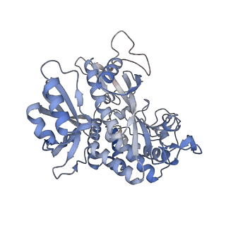 25866_7tf9_T_v1-1
L. monocytogenes GS(14)-Q-GlnR peptide
