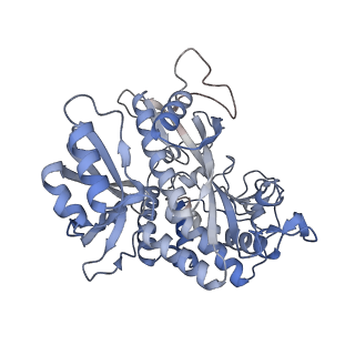 25866_7tf9_T_v1-2
L. monocytogenes GS(14)-Q-GlnR peptide