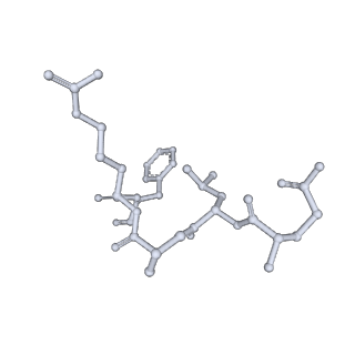 25866_7tf9_W_v1-2
L. monocytogenes GS(14)-Q-GlnR peptide