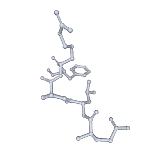 25866_7tf9_X_v1-2
L. monocytogenes GS(14)-Q-GlnR peptide