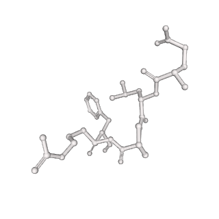 25866_7tf9_Z_v1-2
L. monocytogenes GS(14)-Q-GlnR peptide