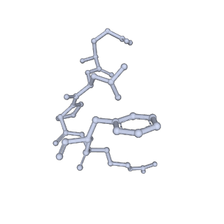 25866_7tf9_b_v1-1
L. monocytogenes GS(14)-Q-GlnR peptide