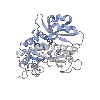 25870_7tfd_J_v1-2
P. polymyxa GS(12) - apo