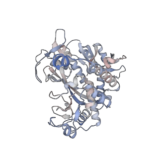 25870_7tfd_Q_v1-2
P. polymyxa GS(12) - apo