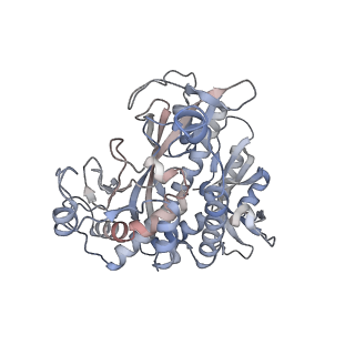 25870_7tfd_R_v1-2
P. polymyxa GS(12) - apo