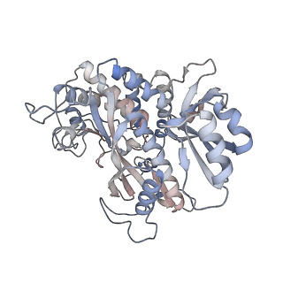 25870_7tfd_T_v1-2
P. polymyxa GS(12) - apo