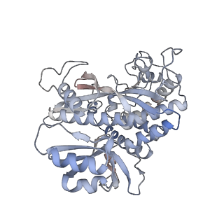 25870_7tfd_W_v1-2
P. polymyxa GS(12) - apo