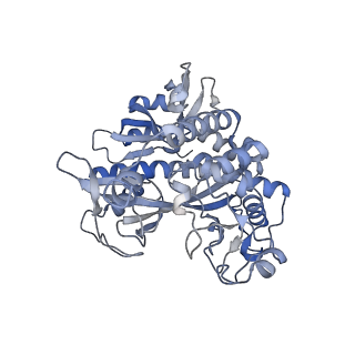 25871_7tfe_A_v1-1
L. monocytogenes GS(12) - apo