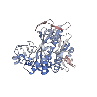 25871_7tfe_B_v1-1
L. monocytogenes GS(12) - apo
