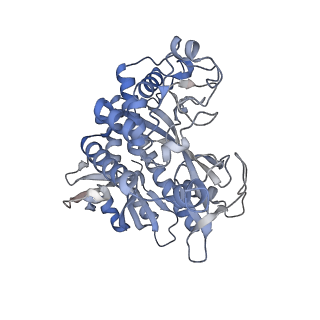 25871_7tfe_C_v1-1
L. monocytogenes GS(12) - apo