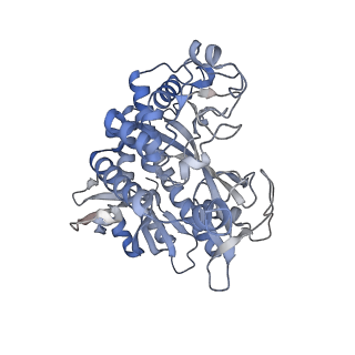 25871_7tfe_C_v1-2
L. monocytogenes GS(12) - apo