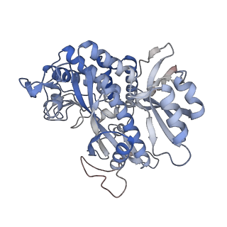 25871_7tfe_D_v1-1
L. monocytogenes GS(12) - apo