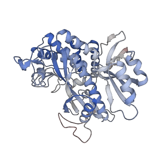 25871_7tfe_D_v1-2
L. monocytogenes GS(12) - apo