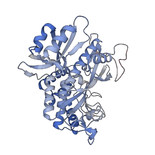 25871_7tfe_E_v1-2
L. monocytogenes GS(12) - apo