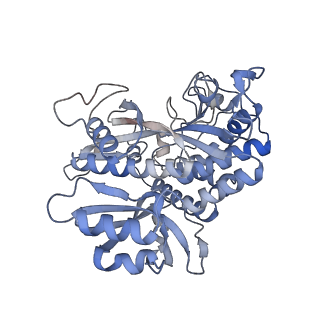 25871_7tfe_F_v1-1
L. monocytogenes GS(12) - apo