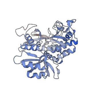 25871_7tfe_F_v1-2
L. monocytogenes GS(12) - apo