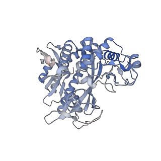 25871_7tfe_G_v1-1
L. monocytogenes GS(12) - apo