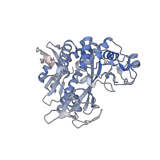 25871_7tfe_G_v1-2
L. monocytogenes GS(12) - apo