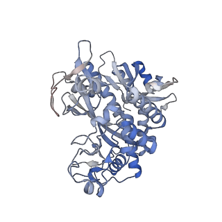 25871_7tfe_H_v1-1
L. monocytogenes GS(12) - apo