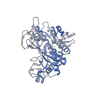 25871_7tfe_H_v1-2
L. monocytogenes GS(12) - apo