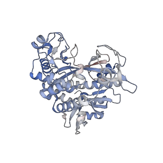 25871_7tfe_I_v1-2
L. monocytogenes GS(12) - apo