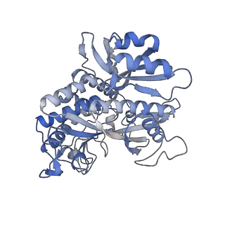 25871_7tfe_J_v1-1
L. monocytogenes GS(12) - apo