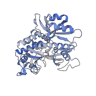 25871_7tfe_J_v1-2
L. monocytogenes GS(12) - apo