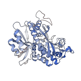 25871_7tfe_K_v1-1
L. monocytogenes GS(12) - apo