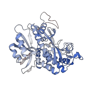 25871_7tfe_K_v1-2
L. monocytogenes GS(12) - apo