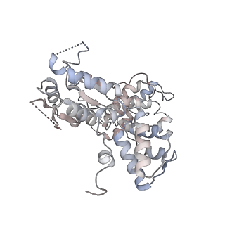 25876_7tfl_A_v1-0
Atomic model of S. cerevisiae clamp loader RFC bound to DNA