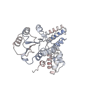 25876_7tfl_B_v1-0
Atomic model of S. cerevisiae clamp loader RFC bound to DNA