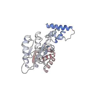 25876_7tfl_C_v1-0
Atomic model of S. cerevisiae clamp loader RFC bound to DNA