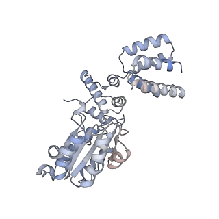 25876_7tfl_D_v1-0
Atomic model of S. cerevisiae clamp loader RFC bound to DNA