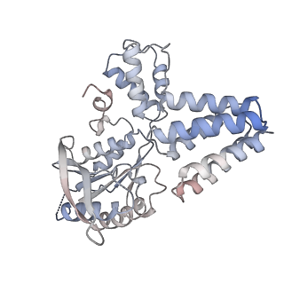 25876_7tfl_E_v1-0
Atomic model of S. cerevisiae clamp loader RFC bound to DNA