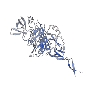 25877_7tfn_B_v1-2
Cryo-EM structure of CD4bs antibody Ab1303 in complex with HIV-1 Env trimer BG505 SOSIP.664
