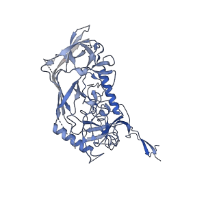 25877_7tfn_C_v1-2
Cryo-EM structure of CD4bs antibody Ab1303 in complex with HIV-1 Env trimer BG505 SOSIP.664